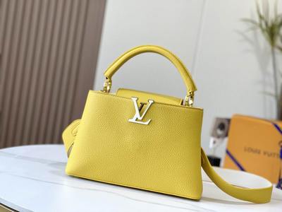 LV Handbags 733